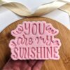 You Are My Sunshine Cookie Cutter + Stamp