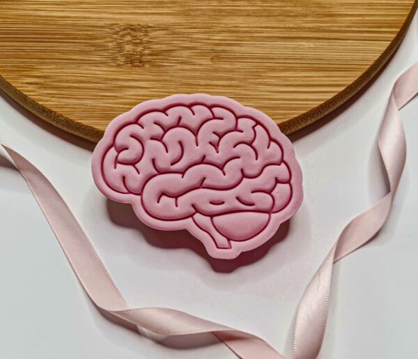 Brain Cookie Cutter + Stamp